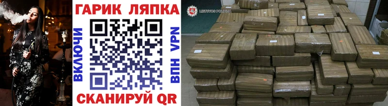 Купить  Губкин  ГАШ убойный 